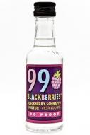 1999 99 Schnapps - Blackberries (50)